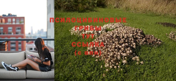 mdpv Верхнеуральск