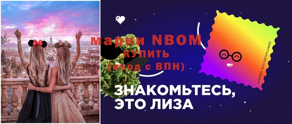 mix Богородск